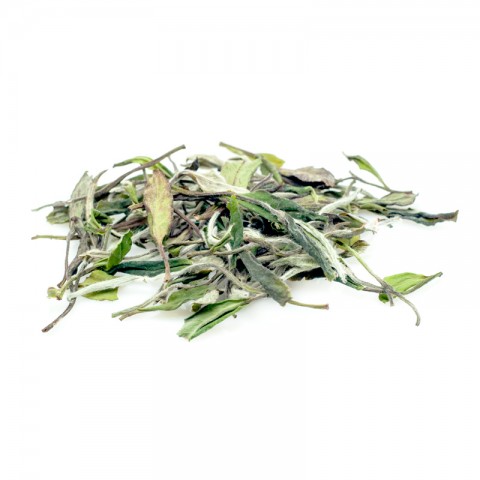 Wild Tea Bush Bai Mu Dan(White Peony)-Organic White-#1