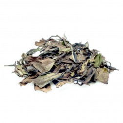 Wild Tea Bush-Brow Tea-Shou Mei Cha
