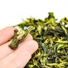 DaWuYe-Large Dark Leaf-Green Dan Cong(Phoenix Single Bush)-Spring Tea-#1