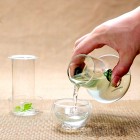 Glass Tea Pot with Strainer-Double Glass Leaf-handle-Green and More