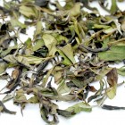 Wild Tea Bush Bai Mu Dan(White Peony)-Organic White Tea-#2