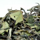 Wild Tea Bush Bai Mu Dan(White Peony)-Organic White Tea-#2