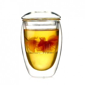 Double Wall Glass Tea Cup with Infuser