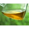 MiLanXiang-Honey Orchid Aroma-Feng Huang Dan Cong(Phoenix Single Bush)-Spring Tea-#1