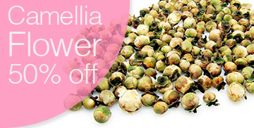 camellia flower tea promo